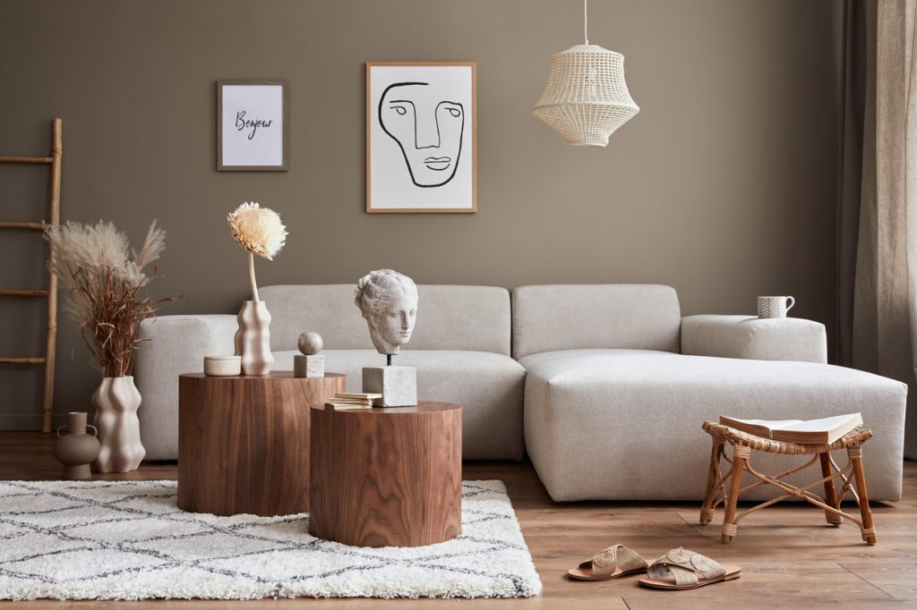 Living Room - Lucies Versa Style Design Essentials Service