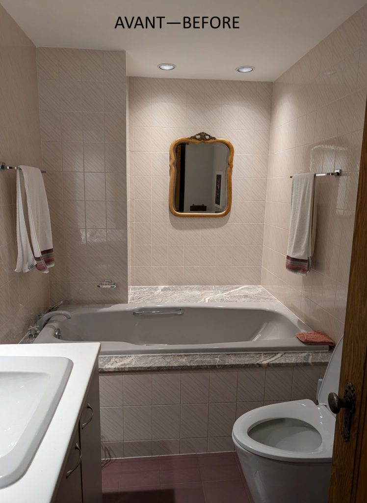 Seniors’ Adapted Bathroom Design for Reduced Mobility
