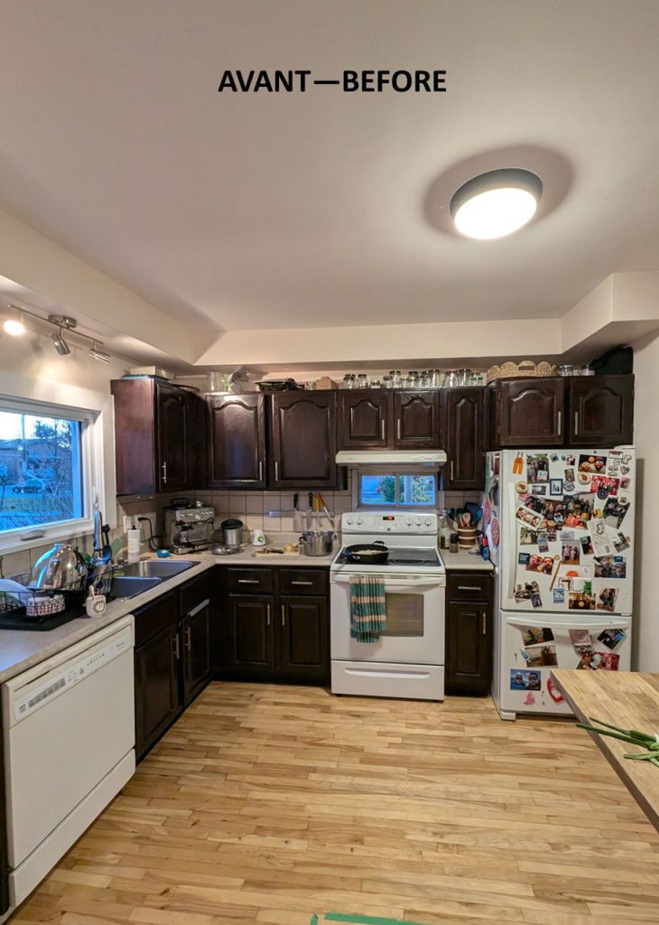 Contemporary Kitchen Remodel in Montreal West