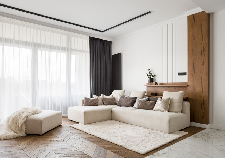Living Room and Dining Room Design